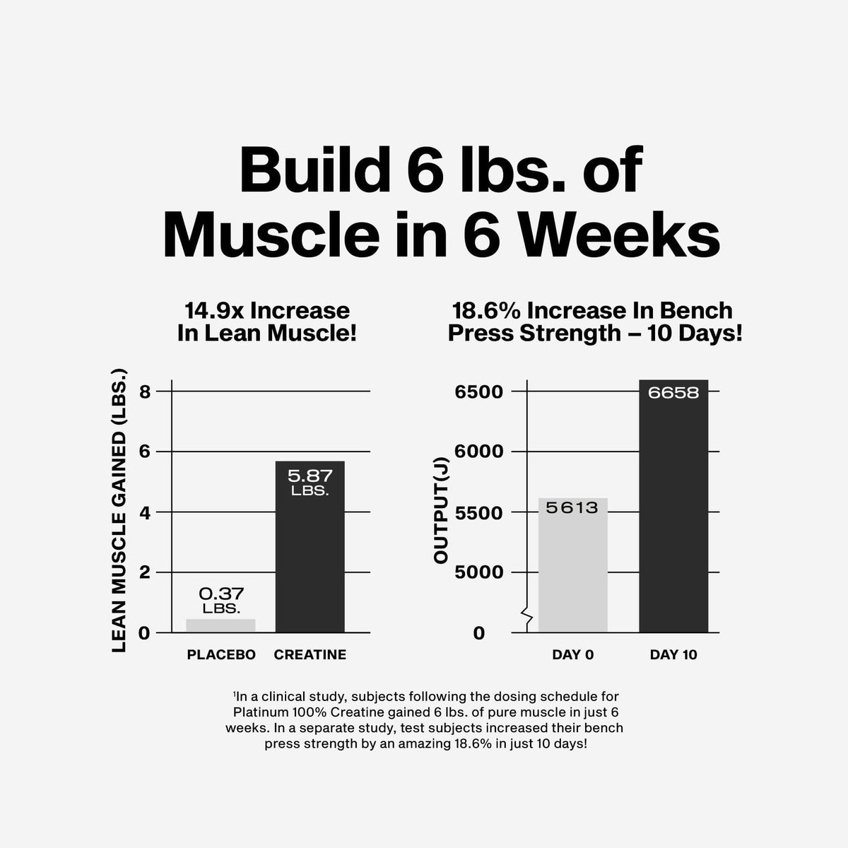 Platinum 100% Creatine