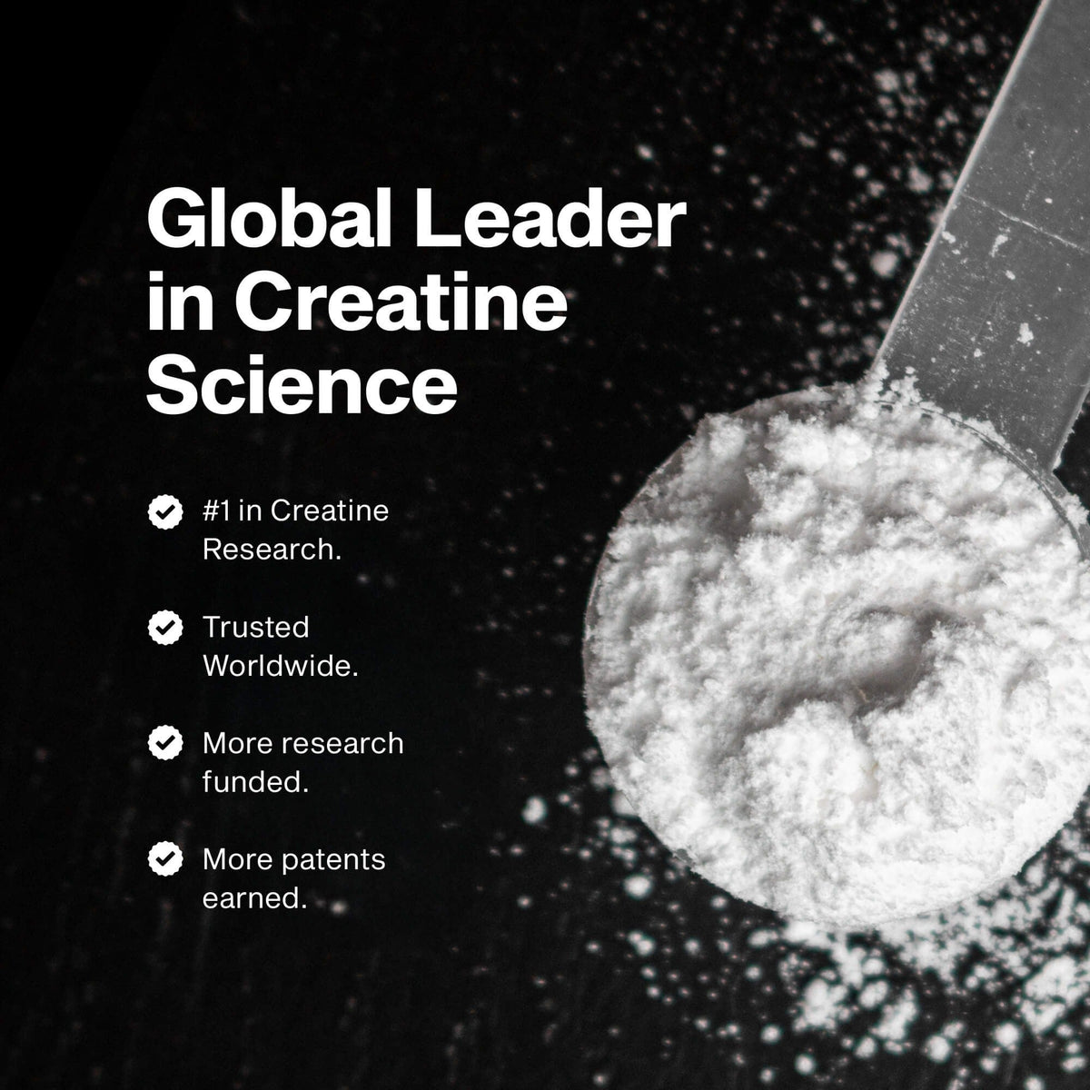 Platinum 100% Creatine